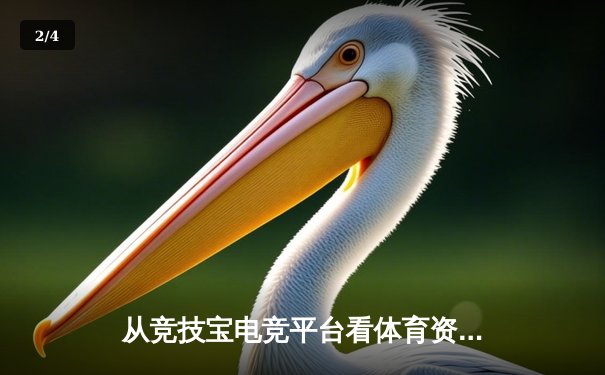 从竞技宝电竞平台看体育资讯网的未来：深度整合与沉浸体验 - 2